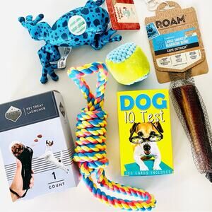 NEW Dog Puppy Toy Treat Roam Bone Chew Rope Frog Ball Bundle Gift Set Accessory